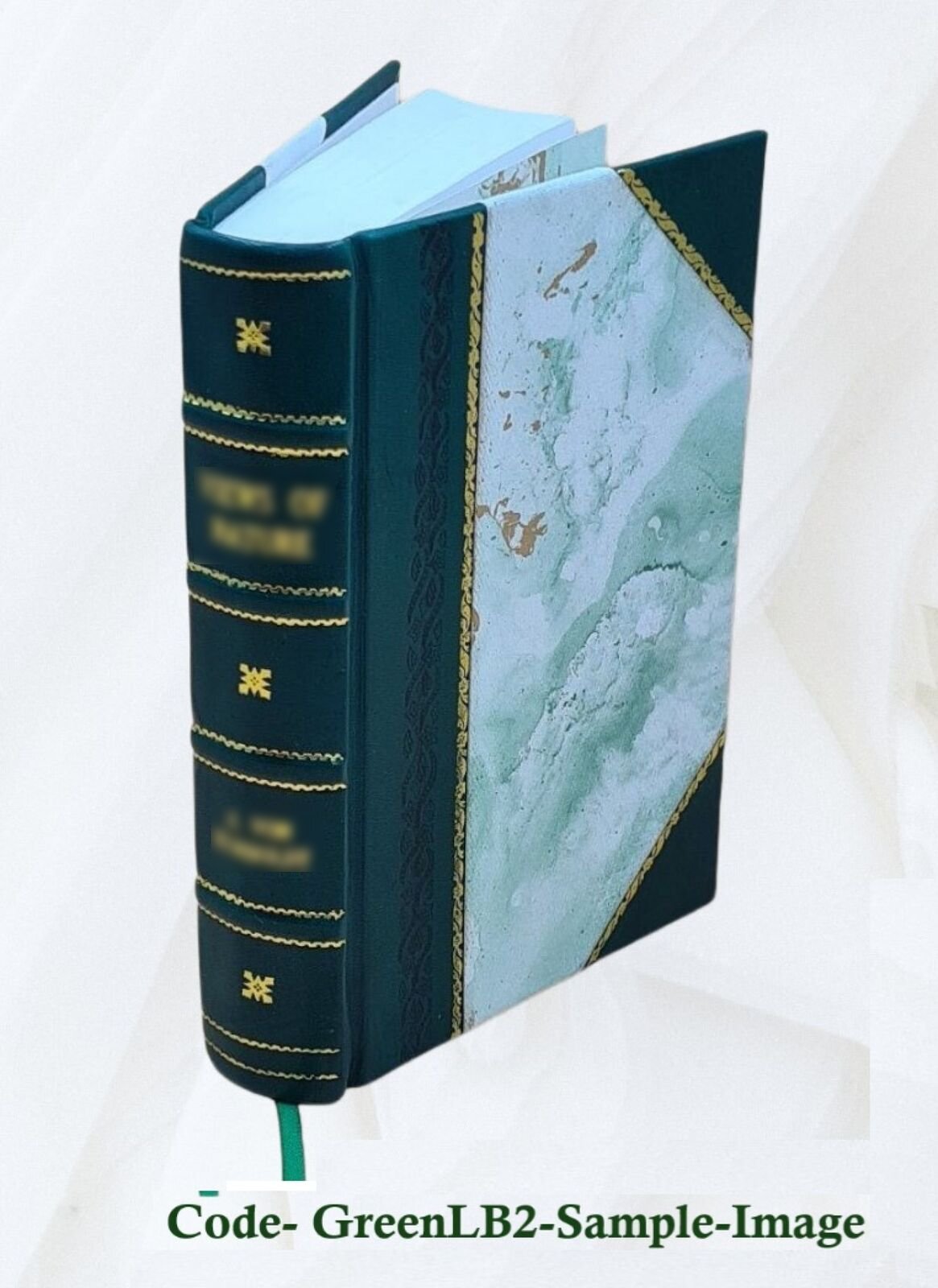 Insurance Science And Economics A Practical Discussion Of Presen [Leather Bound]