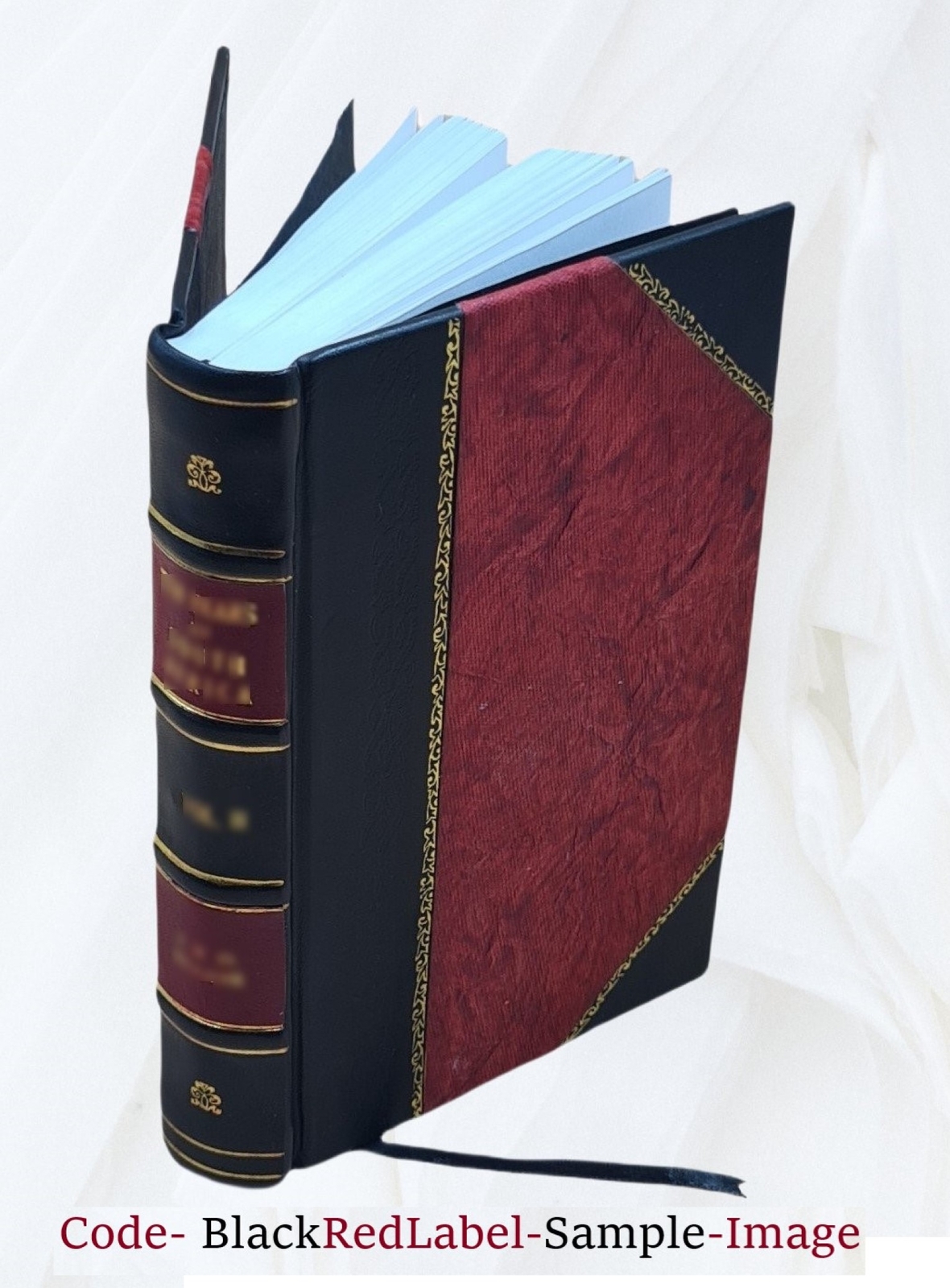 Insurance Science And Economics A Practical Discussion Of Presen [Leather Bound]