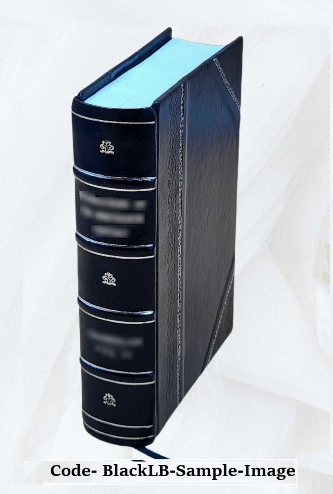 Insurance Science And Economics A Practical Discussion Of Presen [Leather Bound]