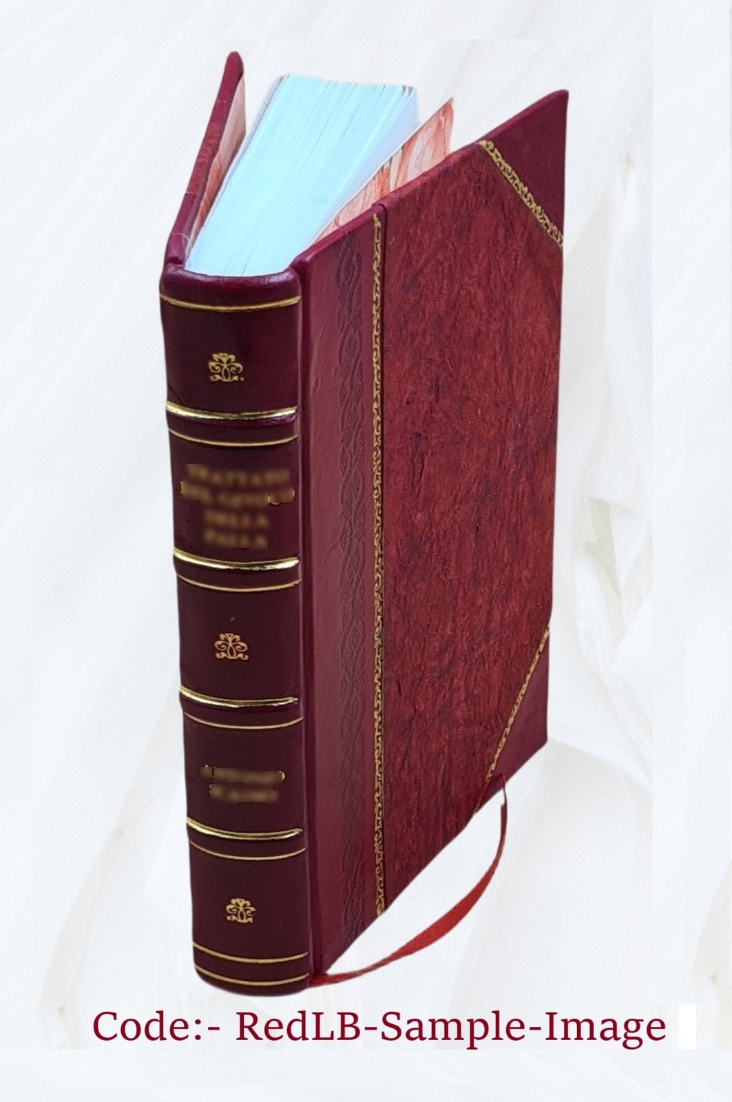 Insurance Science And Economics A Practical Discussion Of Presen [Leather Bound]