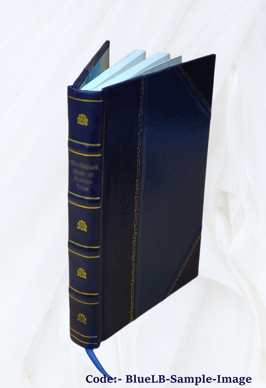 Insurance Science And Economics A Practical Discussion Of Presen [Leather Bound]